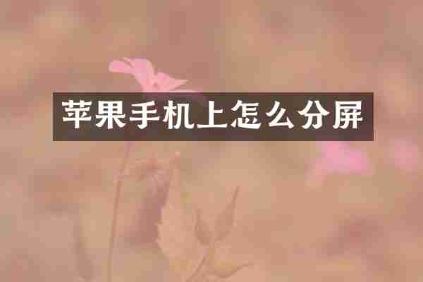苹果手机上怎么分屏
