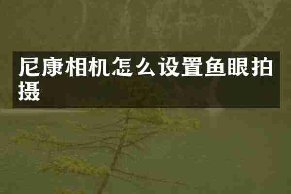 尼康相机怎么设置鱼眼拍摄