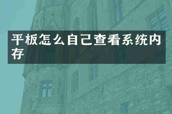 平板怎么自己查看系统内存