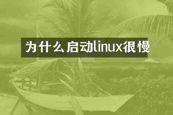 为什么启动linux很慢