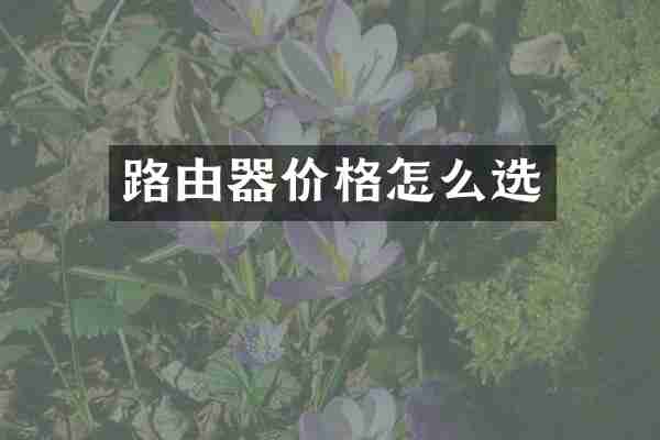 路由器价格怎么选