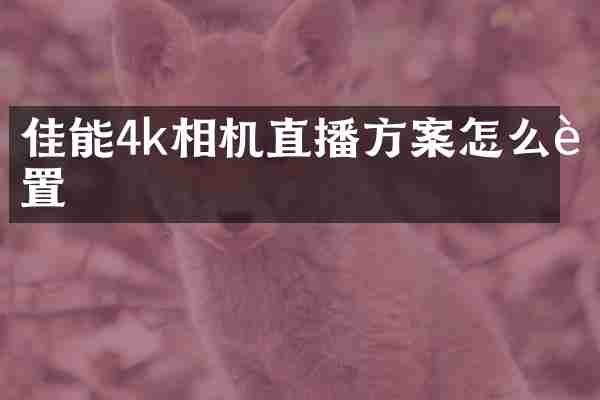佳能4k相机直播方案怎么设置