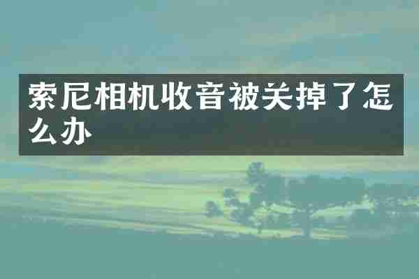 相机收音被关掉了怎么办