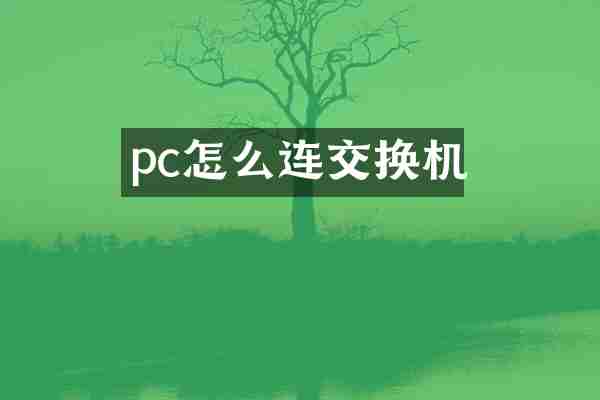 pc怎么连交换机