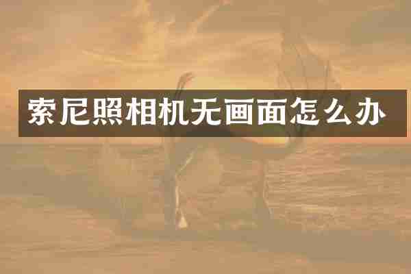 索尼照相机无画面怎么办