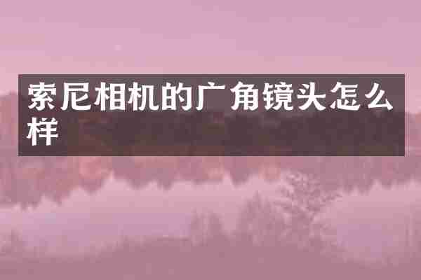 索尼相机的广角镜头怎么样