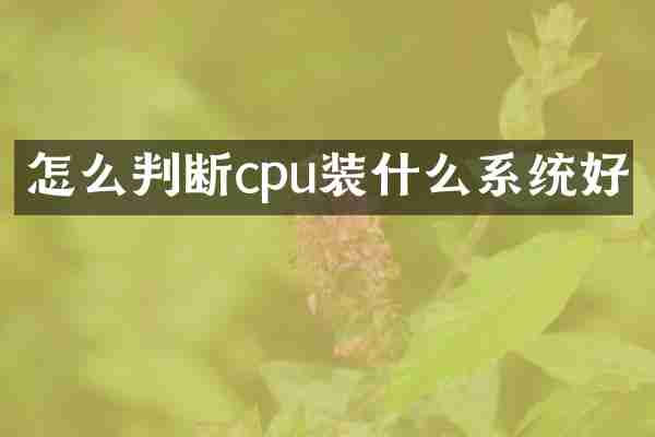 怎么判断cpu装什么系统好