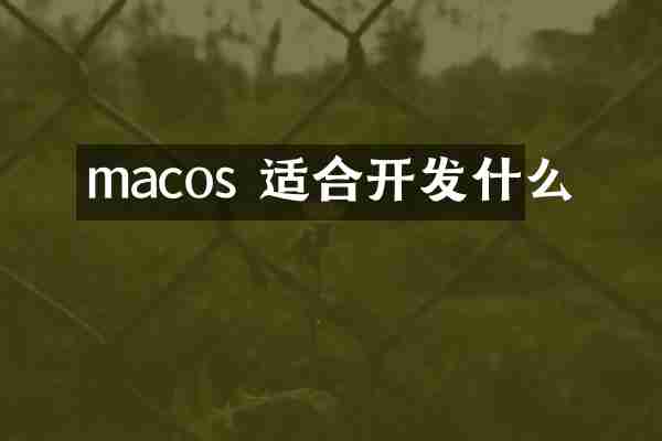 macos 适合开发什么