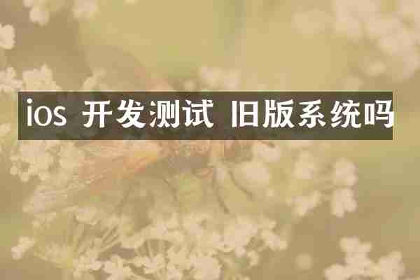 ios 开发测试 旧版系统吗