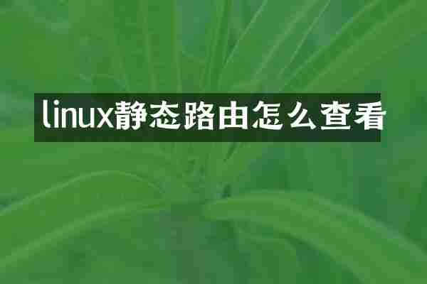 linux静态路由怎么查看