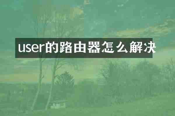 user的路由器怎么解决