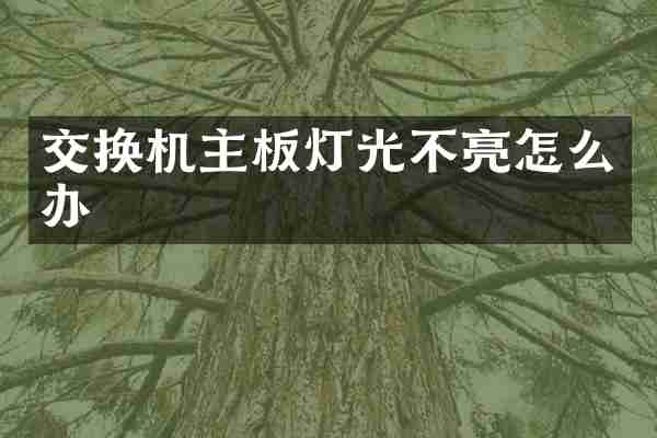 交换机主板灯光不亮怎么办