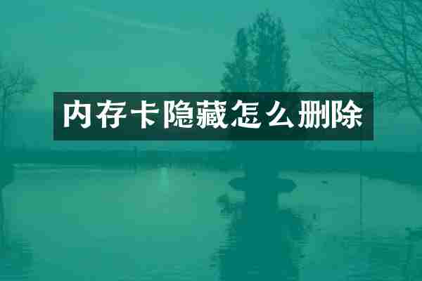 内存卡隐藏怎么删除