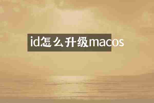 id怎么升级macos