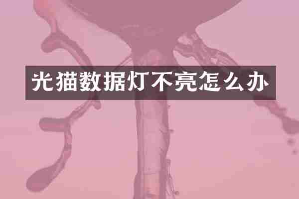 光猫数据灯不亮怎么办