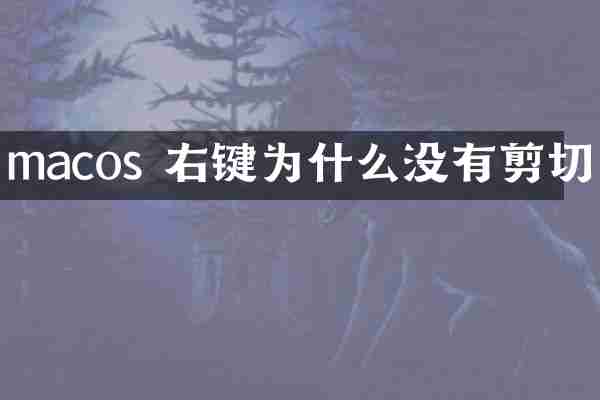 macos 右键为什么没有剪切