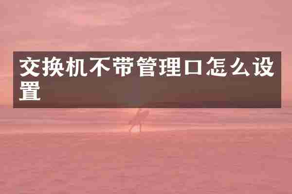 交换机不带管理口怎么设置