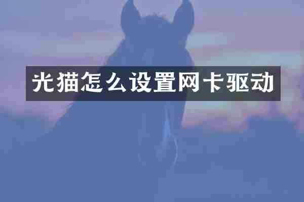 光猫怎么设置网卡驱动