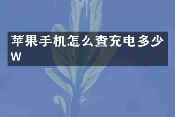 苹果手机怎么查充电多少w