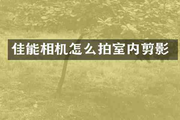 佳能相机怎么拍室内剪影