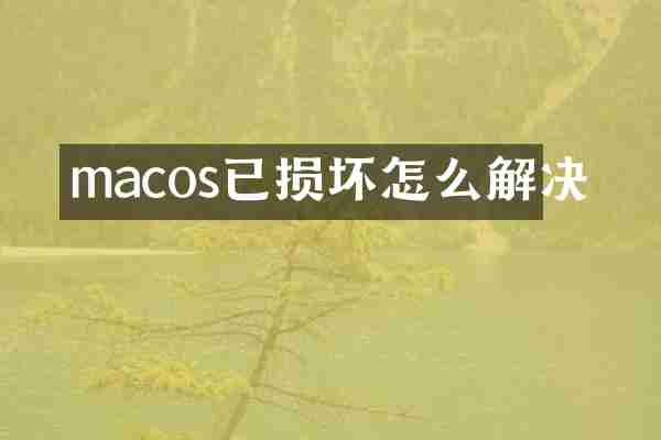 macos已损坏怎么解决