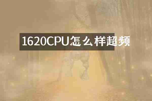 1620CPU怎么样超频