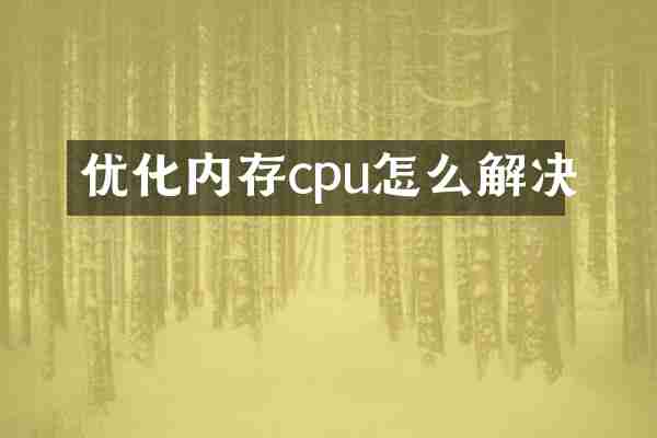 优化内存cpu怎么解决