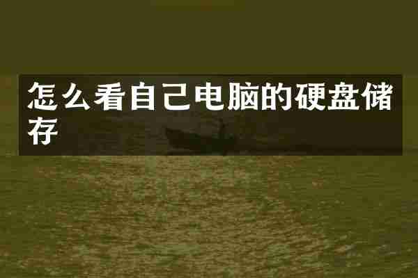 怎么看自己电脑的硬盘储存