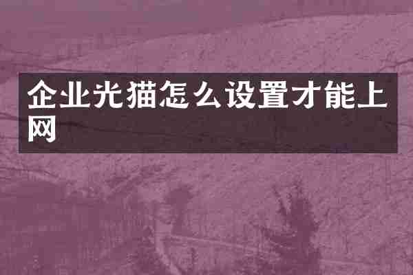 企业光猫怎么设置才能上网