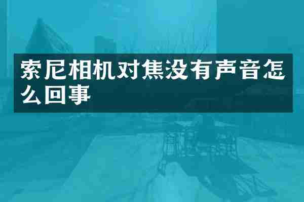 相机对焦没有声音怎么回事