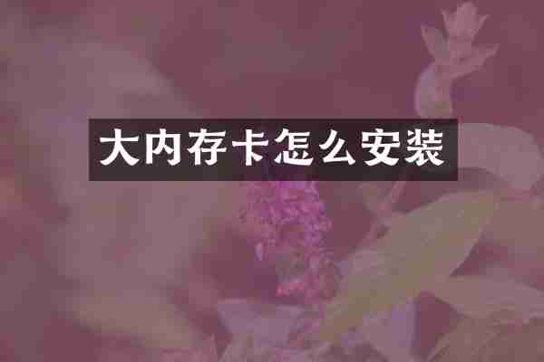大内存卡怎么安装