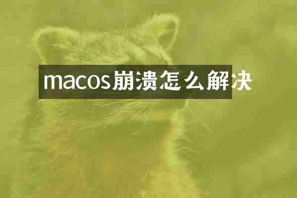 macos崩溃怎么解决