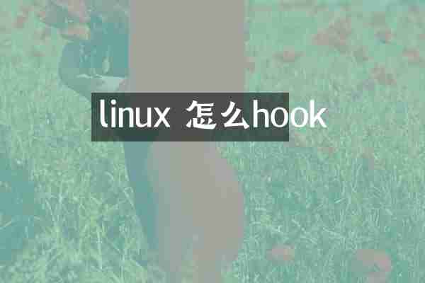 linux 怎么hook