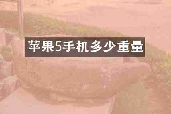 苹果5手机多少重量
