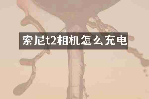 t2相机怎么充电