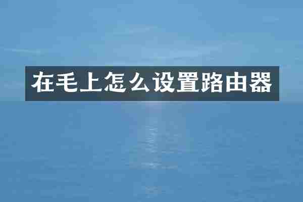 在毛上怎么设置路由器