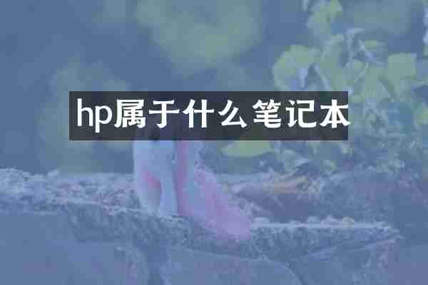 hp属于什么笔记本