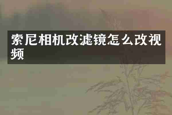 索尼相机改滤镜怎么改视频