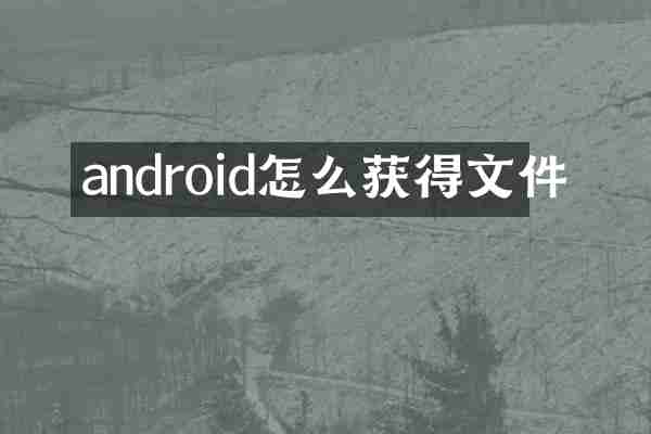 android怎么获得文件