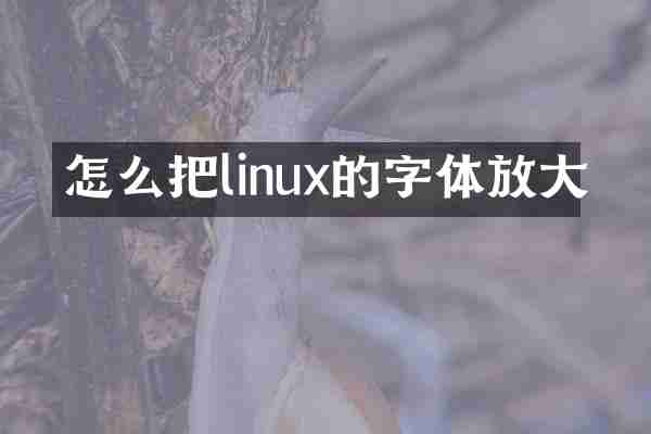 怎么把linux的字体放大