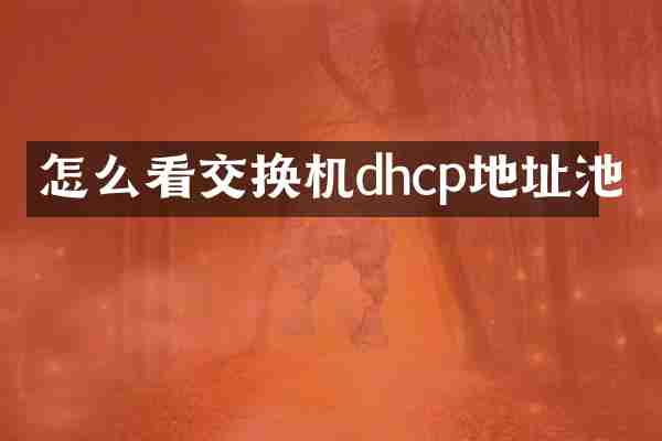 怎么看交换机dhcp地址池