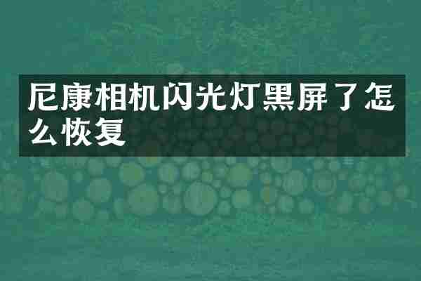 尼康相机闪光灯黑屏了怎么恢复