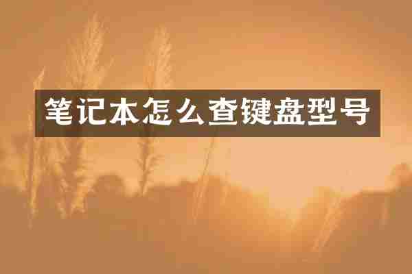 笔记本怎么查键盘型号