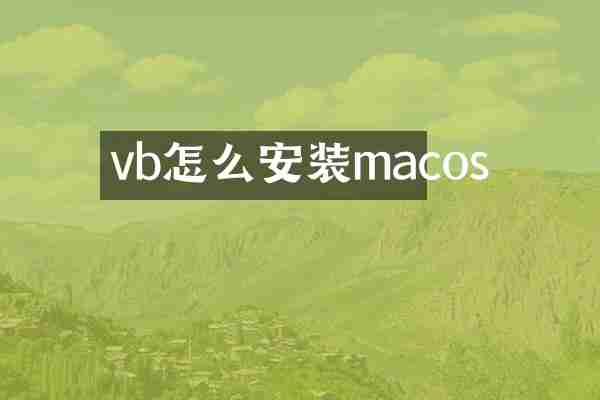 vb怎么安装macos