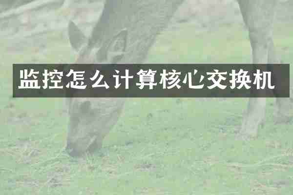 监控怎么计算核心交换机