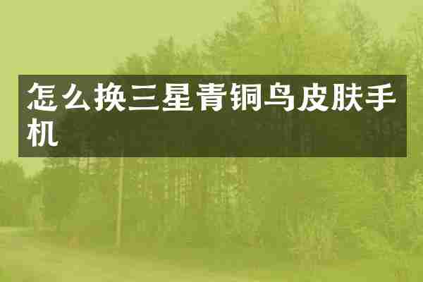 怎么换三星青铜鸟皮肤手机