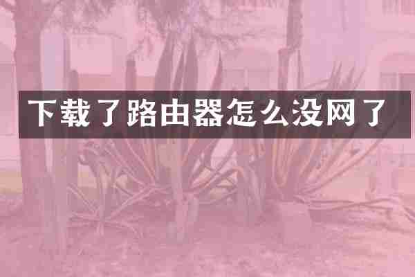 下载了路由器怎么没网了