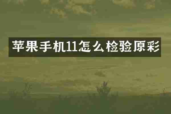 苹果手机11怎么检验原彩