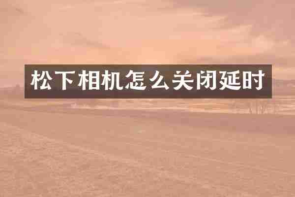 相机怎么关闭延时