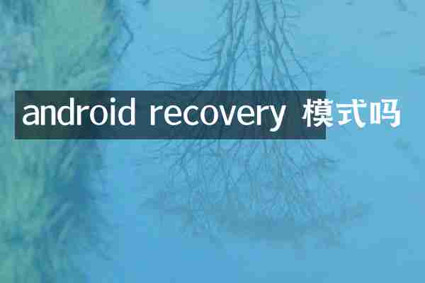 android recovery 模式吗